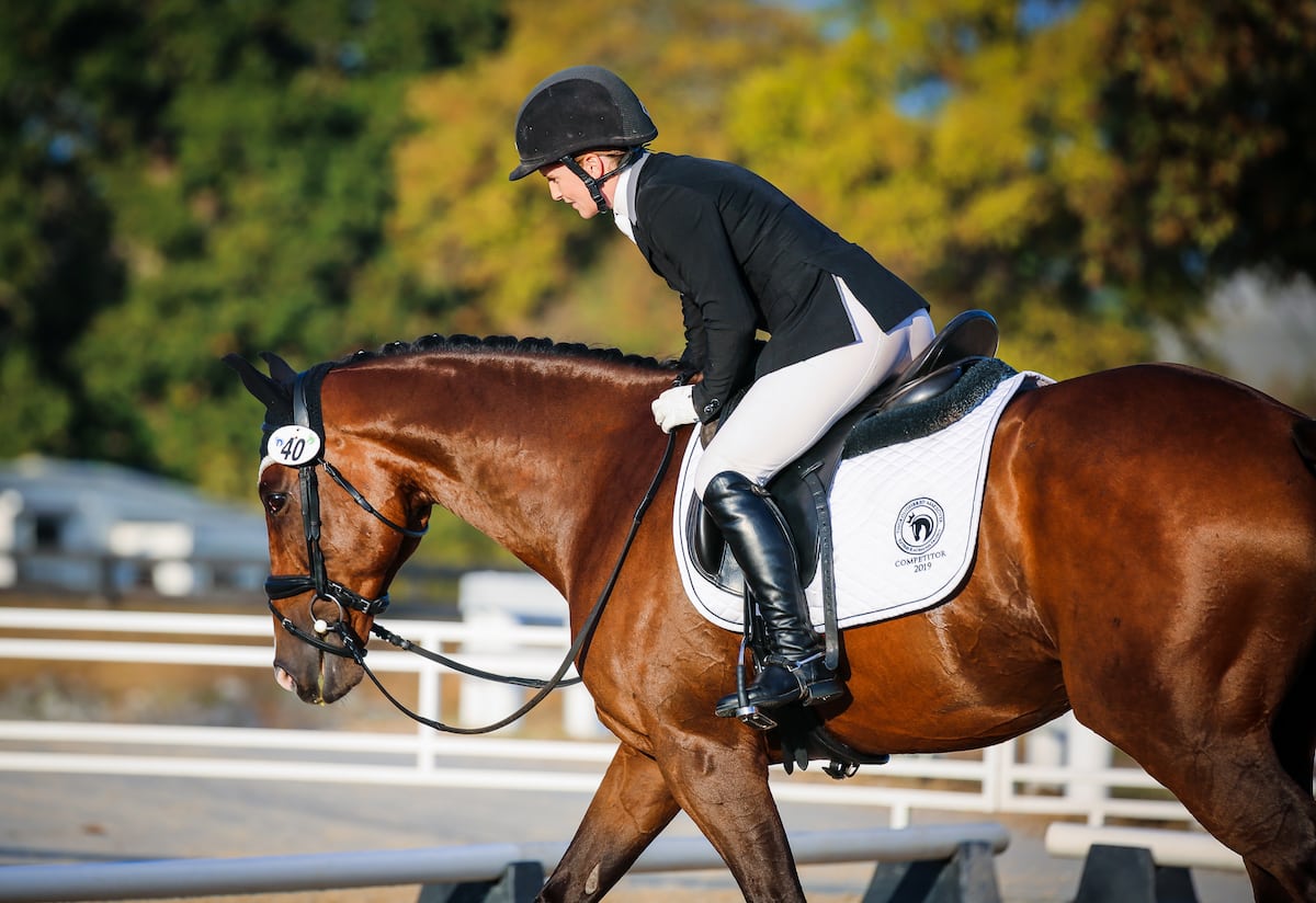 Horse Haven Shop -Horse Haven Shop 1 3L7A3986