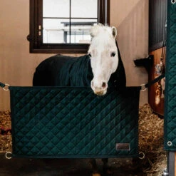 Kentucky Horsewear Stable Guard - Dark Green UK | Just Equine