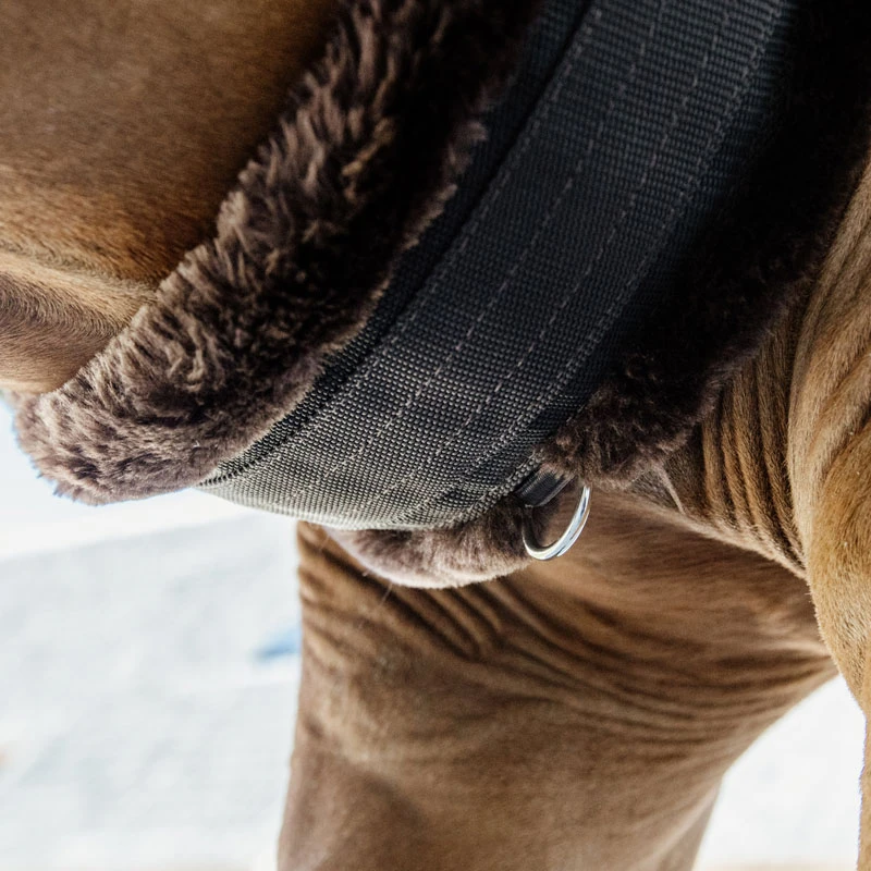 NEW Kentucky Elasticated Sheepskin Girth Brown/Brown UK | 1 NEW Kentucky Elasticated Sheepskin Girth Brown/Brown UK |