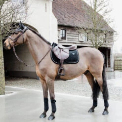 Kentucky Horsewear Velvet Saddle Pad Basic UK | Just Equine 14 Kentucky Horsewear Velvet Saddle Pad Basic UK | Just Equine -Horse Haven Shop 485A7847