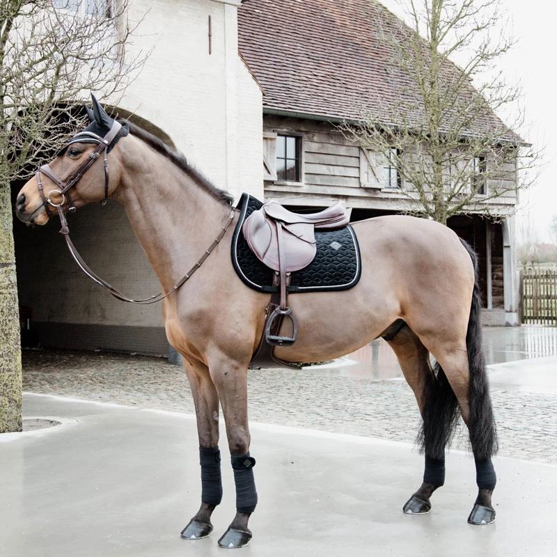 Kentucky Horsewear Velvet Saddle Pad Basic UK | Just Equine 7 Kentucky Horsewear Velvet Saddle Pad Basic UK | Just Equine - Image 7