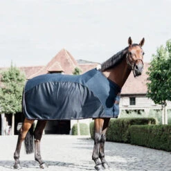 Kentucky Horsewear Mesh Combo Cooler Sheet UK | Just Equine 13 Kentucky Horsewear Mesh Combo Cooler Sheet UK | Just Equine -Horse Haven Shop 52158