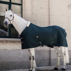 Kentucky Horsewear Stable Rug - Pine Green UK | Just Equine