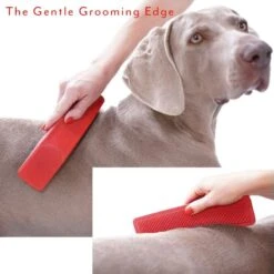 StripHair Gentle Groomer Pets UK | Just Equine 10 StripHair Gentle Groomer Pets UK | Just Equine -Horse Haven Shop 888 214d4a41cca68950e4a878302d0916c7 e1594578011925
