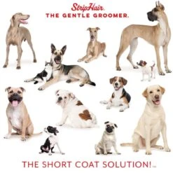 StripHair Gentle Groomer Pets UK | Just Equine 13 StripHair Gentle Groomer Pets UK | Just Equine -Horse Haven Shop 888 e78623d062c1e2cdfdb8474652f61957 e1594578028707