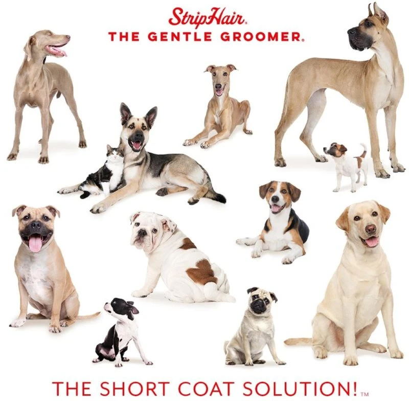 StripHair Gentle Groomer Pets UK | Just Equine 7 StripHair Gentle Groomer Pets UK | Just Equine - Image 7