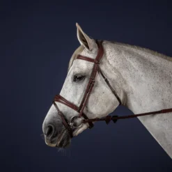 Dy'on New English Collection Anatomic Flash Noseband Bridle UK | Just Equine