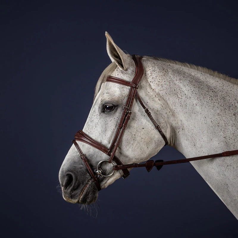 Dy'on New English Collection Anatomic Flash Noseband Bridle UK | Just Equine 1 Dy'on New English Collection Anatomic Flash Noseband Bridle UK | Just Equine