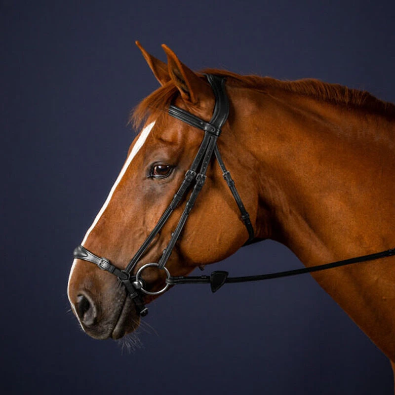 Dy'on New English Collection Adjustable Drop Noseband Bridle UK | Just Equine 3 Dy'on New English Collection Adjustable Drop Noseband Bridle UK | Just Equine - Image 3