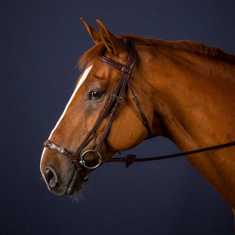 Dy'on New English Collection Adjustable Drop Noseband Bridle UK | Just Equine 1 Dy'on New English Collection Adjustable Drop Noseband Bridle UK | Just Equine