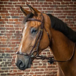 Dy'on Collection Adjustable Drop Noseband Bridle UK | Just Equine