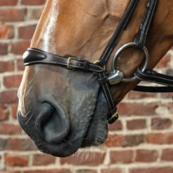 Dy’on Collection Drop Noseband UK | Just Equine -Horse Haven Shop Dyon Adjustable Drop Noseband ONLY Black 1