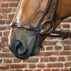 Dy’on Collection Drop Noseband UK | Just Equine