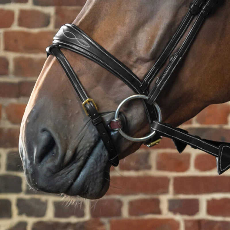 Dy’on Collection Anatomic Flash Noseband UK | Just Equine 4 Dy’on Collection Anatomic Flash Noseband UK | Just Equine - Image 4