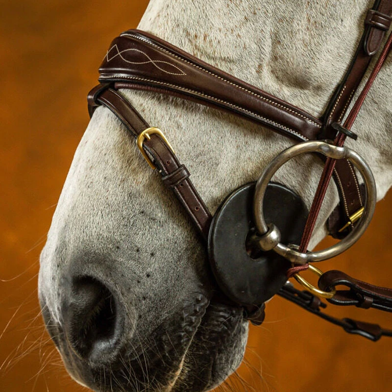 Dy’on Collection Anatomic Flash Noseband UK | Just Equine 1 Dy’on Collection Anatomic Flash Noseband UK | Just Equine