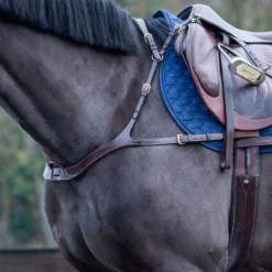 Dy’on Collection Anatomic Breastplate UK | Just Equine -Horse Haven Shop Dyon Anatomical Breastplate 2