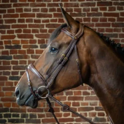 Dy'on Collection Anatomic Flash Noseband Bridle| Just Equine 7 Dy'on Collection Anatomic Flash Noseband Bridle| Just Equine -Horse Haven Shop Dyon Collection Anatomic Bridle Brown On A Horse