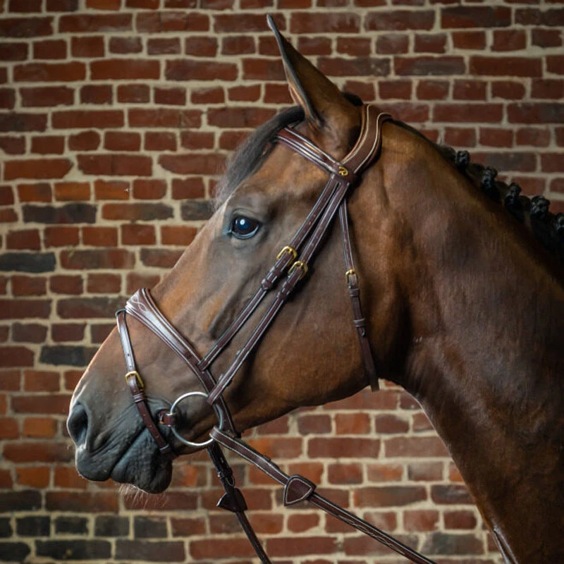 Dy'on Collection Anatomic Flash Noseband Bridle| Just Equine 4 Dy'on Collection Anatomic Flash Noseband Bridle| Just Equine - Image 4