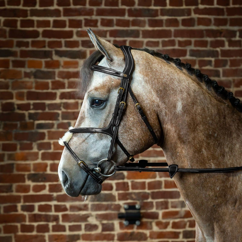 Dy'on Collection Bridle With Grackle Noseband UK | Just Equine 2 Dy'on Collection Bridle With Grackle Noseband UK | Just Equine - Image 2