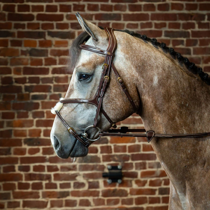 Dy'on Collection Bridle With Grackle Noseband UK | Just Equine 4 Dy'on Collection Bridle With Grackle Noseband UK | Just Equine - Image 4