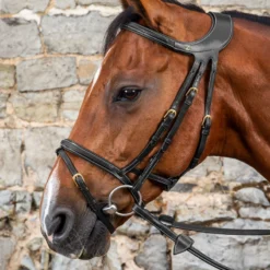 Dy'on Difference Bridle UK | Just Equine 6 Dy'on Difference Bridle UK | Just Equine -Horse Haven Shop Dyon Collection Difference Bridle Black 1