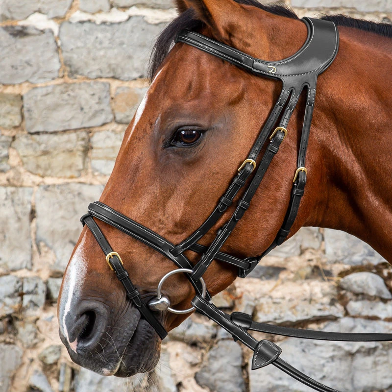 Dy'on Difference Bridle UK | Just Equine 3 Dy'on Difference Bridle UK | Just Equine - Image 3