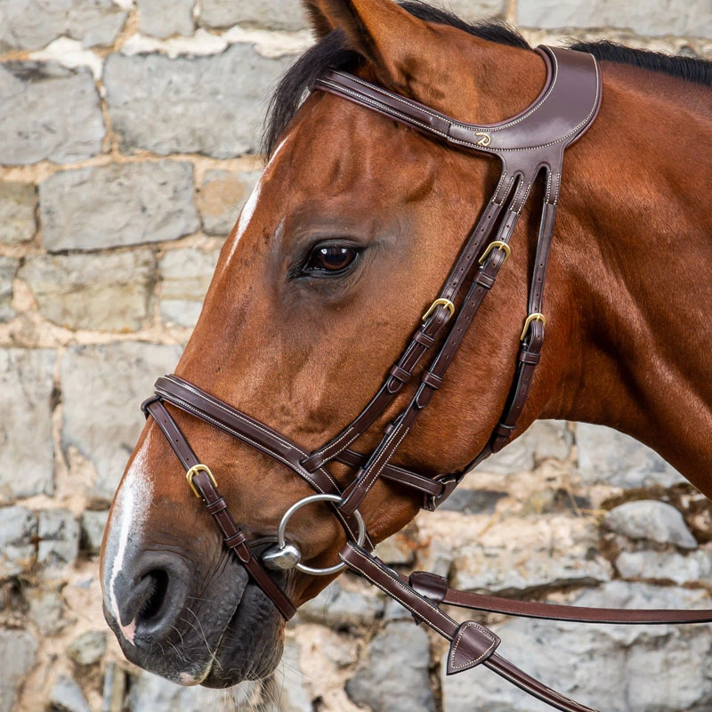 Dy'on Difference Bridle UK | Just Equine 4 Dy'on Difference Bridle UK | Just Equine - Image 4