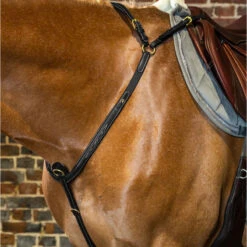Dy'on Collection Fancy Breastplate With Bridge UK | Just Equine