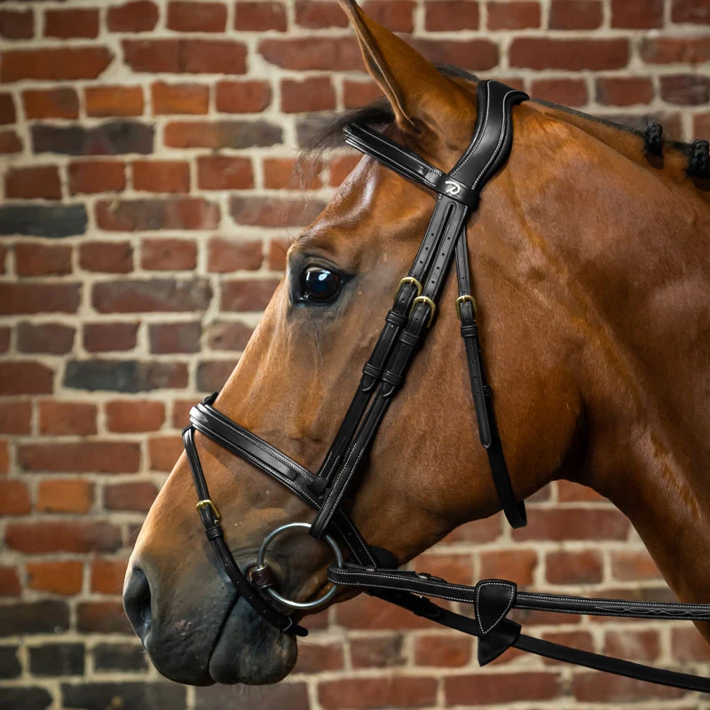 Dy'on Collection Flash Noseband Bridle UK | Just Equine 5 Dy'on Collection Flash Noseband Bridle UK | Just Equine - Image 5