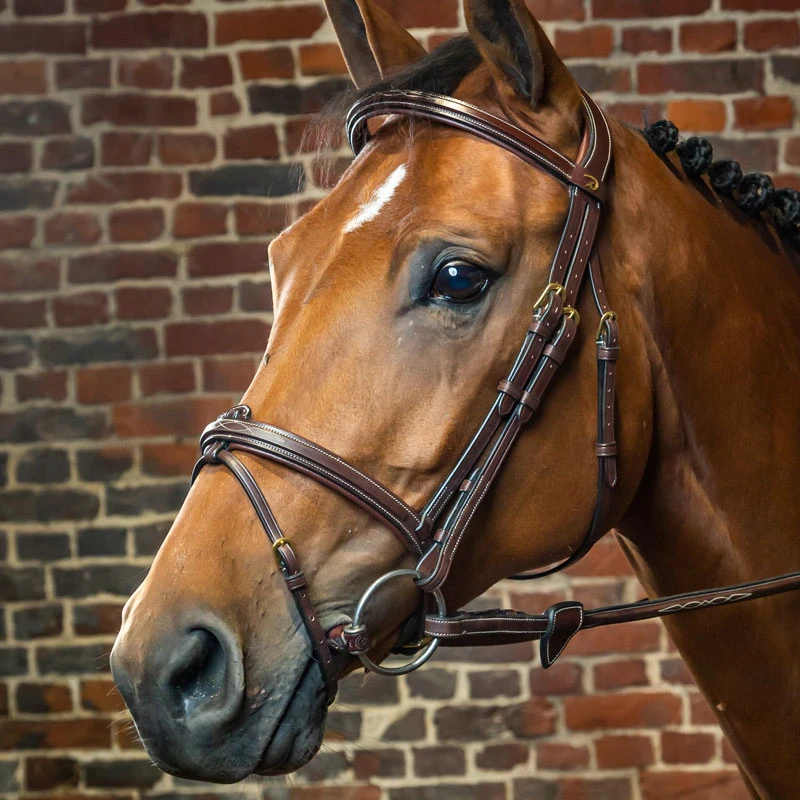 Dy'on Collection Flash Noseband Bridle UK | Just Equine 2 Dy'on Collection Flash Noseband Bridle UK | Just Equine - Image 2
