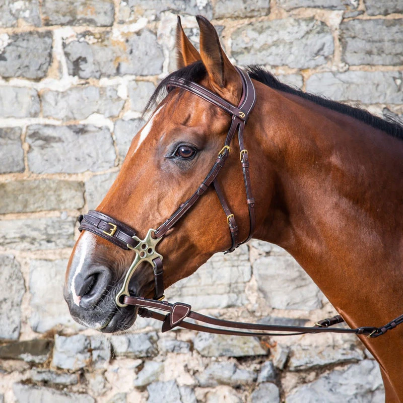 Horse Haven Shop -Horse Haven Shop Dyon Collection Hackamore Bridle