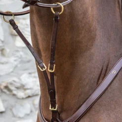 Dy'on Collection Running Martingale Attachment UK | Just Equine