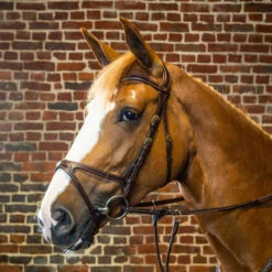Dy'on Collection X-Fit Bridle UK | Just Equine
