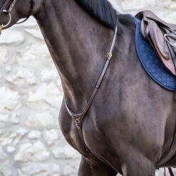 Dy'on Collection Yoke Martingale UK | Just Equine