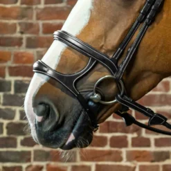 Dy’on Collection Double Noseband UK | Just Equine -Horse Haven Shop Dyon Double Noseband 2