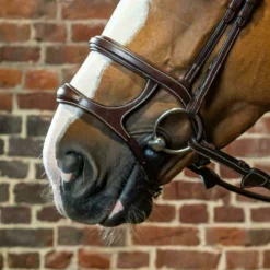 Dy’on Collection Double Noseband UK | Just Equine