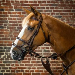 Dy'on Collection Double Noseband Bridle UK | Just Equine