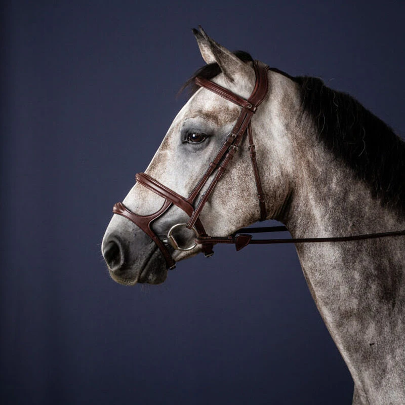 Dy'on New English Collection Double Noseband Bridle UK | Just Equine 3 Dy'on New English Collection Double Noseband Bridle UK | Just Equine - Image 3