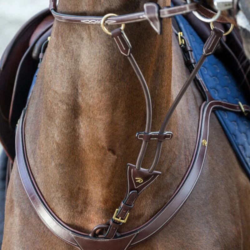 Dy’on Collection Elastic Running Martingale Attachment UK | Just Equine 1 Dy’on Collection Elastic Running Martingale Attachment UK | Just Equine
