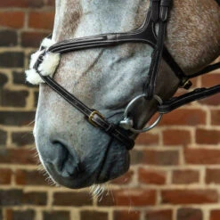 Dy’on Collection Grackle Noseband UK | Just Equine -Horse Haven Shop Dyon Fig 8 Noseband ONLY Black 1