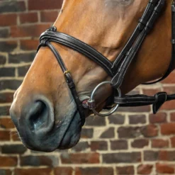 Dy’on Collection Flash Noseband UK | Just Equine -Horse Haven Shop Dyon Flash Noseband ONLY Black 1