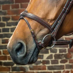 Dy’on Collection Flash Noseband UK | Just Equine