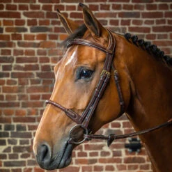 Dy'on Collection Leather Covered Rope Noseband Bridle UK | Just Equine