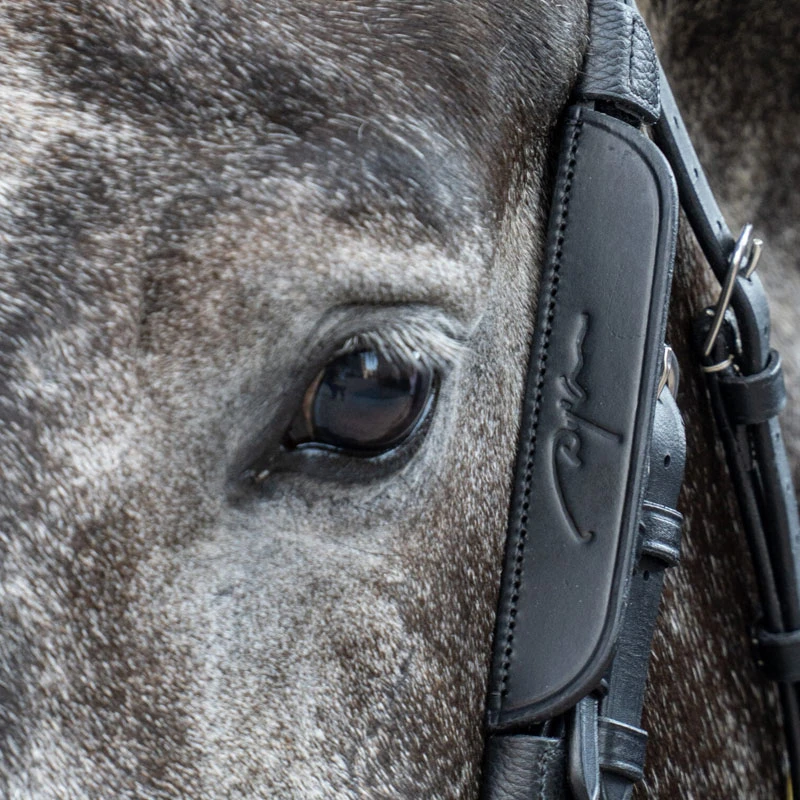 Dy'on Leather Horse Blinkers UK | Just Equine 2 Dy'on Leather Horse Blinkers UK | Just Equine - Image 2