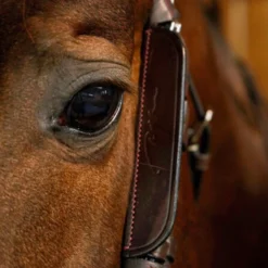 Dy'on Leather Horse Blinkers UK | Just Equine 5 Dy'on Leather Horse Blinkers UK | Just Equine -Horse Haven Shop Dyon Leather Horse Blinkers Brown 1