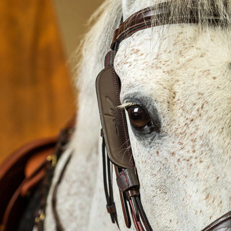 Dy'on Leather Horse Blinkers UK | Just Equine 1 Dy'on Leather Horse Blinkers UK | Just Equine