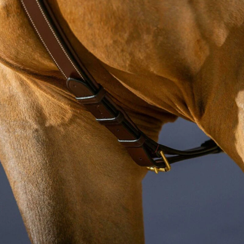 Dy’on Collection Long Bridge Breastplate UK | Just Equine 3 Dy’on Collection Long Bridge Breastplate UK | Just Equine - Image 3