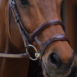 Dy'on New English Collection Double Noseband Bridle UK | Just Equine