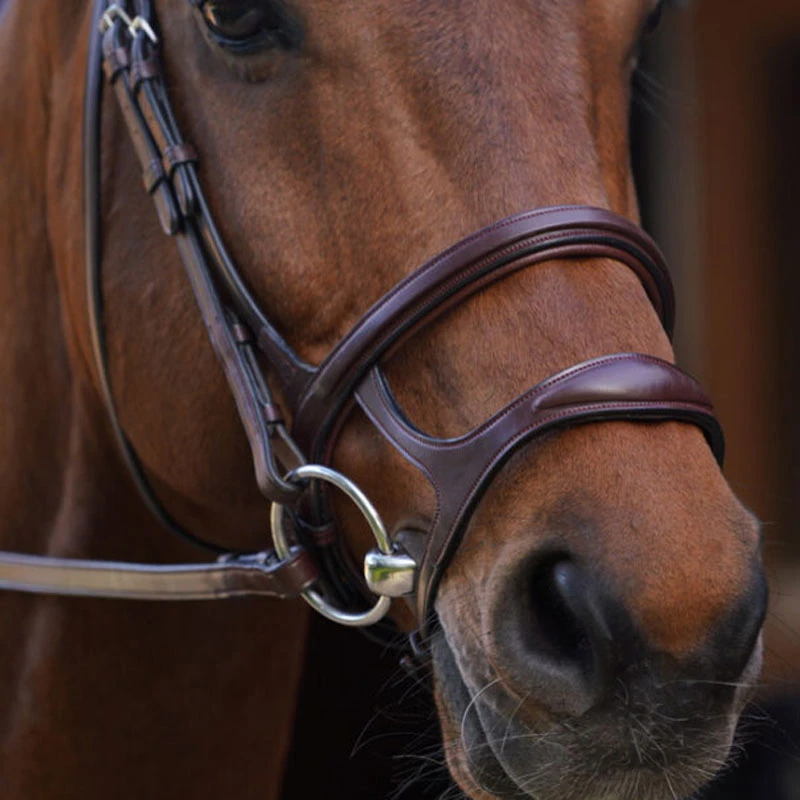 Dy'on New English Collection Double Noseband UK | Just Equine 3 Dy'on New English Collection Double Noseband UK | Just Equine - Image 3