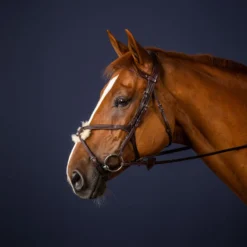 Dy'on New English Collection Grackle Noseband Bridle UK | Just Equine